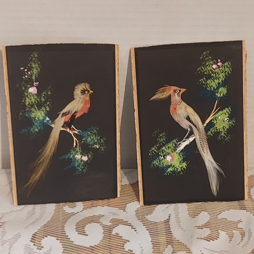 Vintage Mexican Feather Art Bird Set of 2 Bark Wood Frame 6x4 Hand Painted Folk